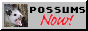 Possums Now! button
