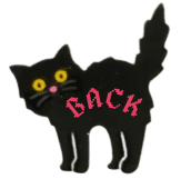 Vintage black cat sticker with the word back written on it.