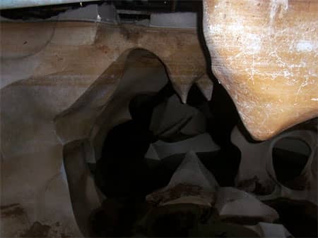 A flash photograph of strange brown and white forms stretching off into the darkness.