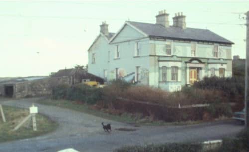 A large mansion overlooking an empty road, with a black dog running past. Old photograph.
